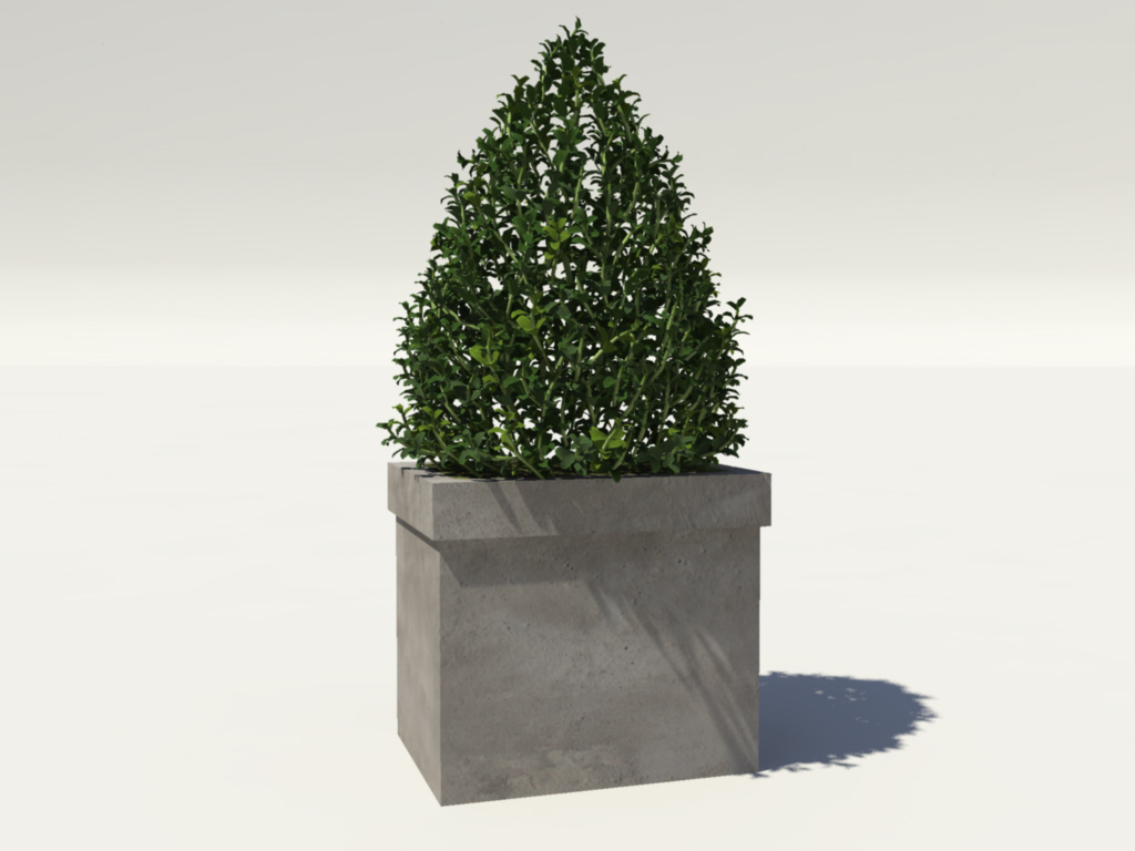 buxus-box-plant-pyramid-3d-model-1
