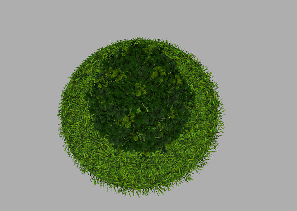 buxus-plant-cone-shape-3d-model-on-grass-11