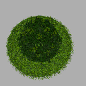 buxus-plant-cone-shape-3d-model-on-grass-11