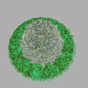buxus-plant-cone-shape-3d-model-on-grass-12