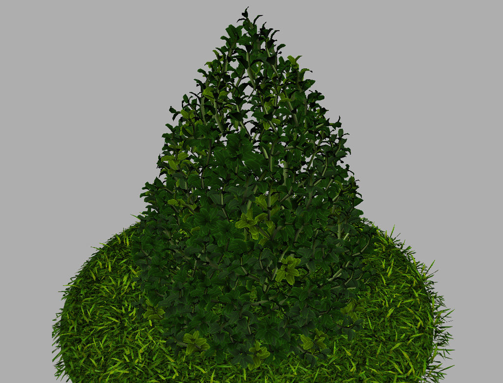 buxus-plant-cone-shape-3d-model-on-grass-13
