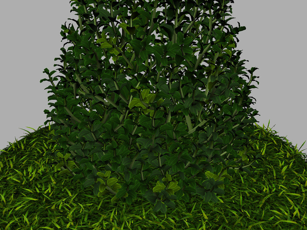 buxus-plant-cone-shape-3d-model-on-grass-14
