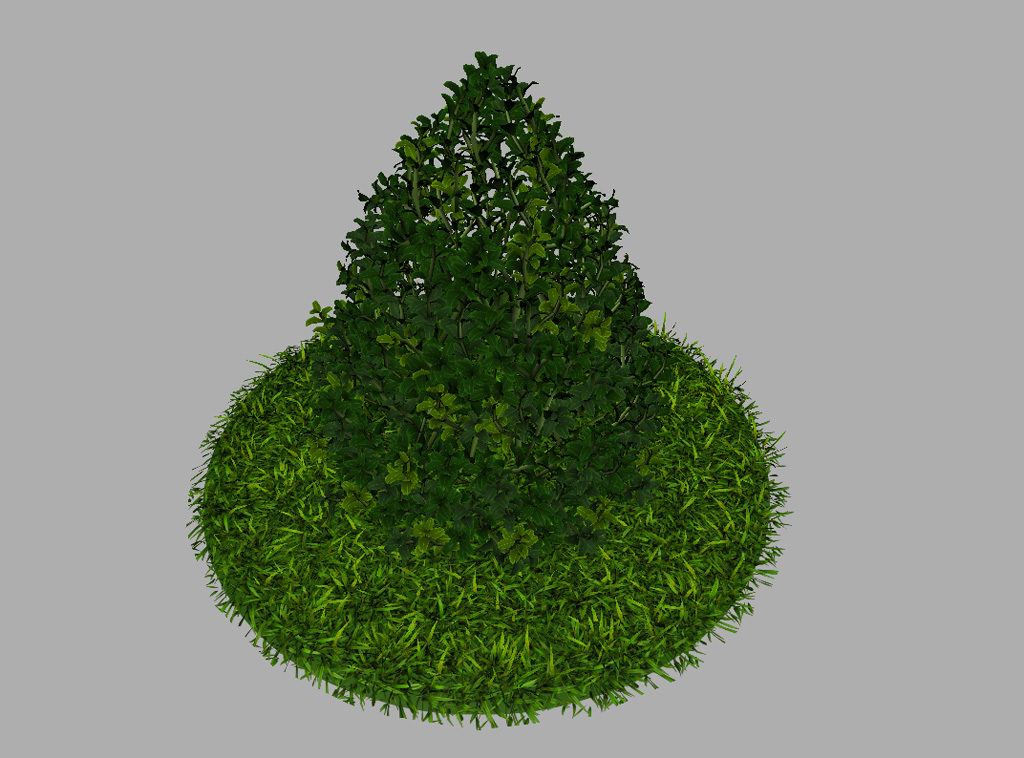 buxus-plant-cone-shape-3d-model-on-grass-7