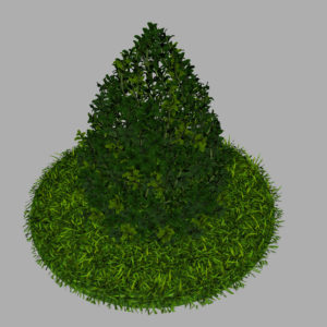 buxus-plant-cone-shape-3d-model-on-grass-7