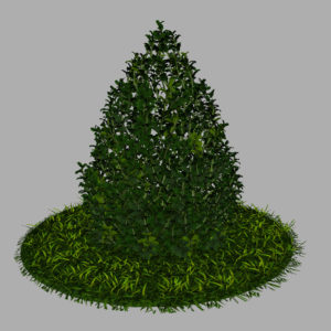 buxus-plant-cone-shape-3d-model-on-grass-8