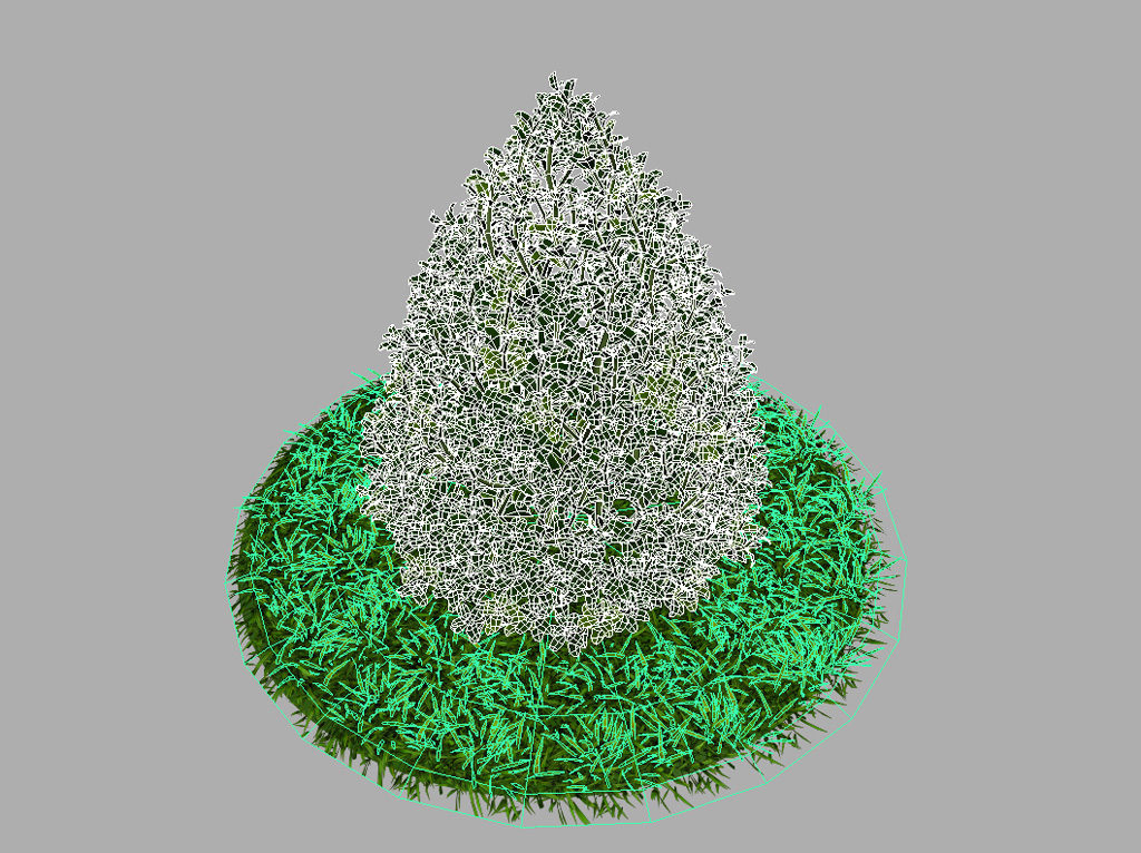 buxus-plant-cone-shape-3d-model-on-grass-9