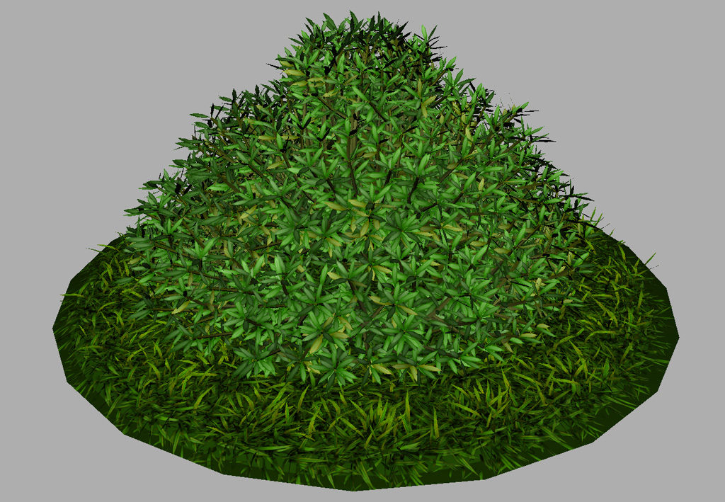 buxus-shrub-long-leaf-3d-model-6