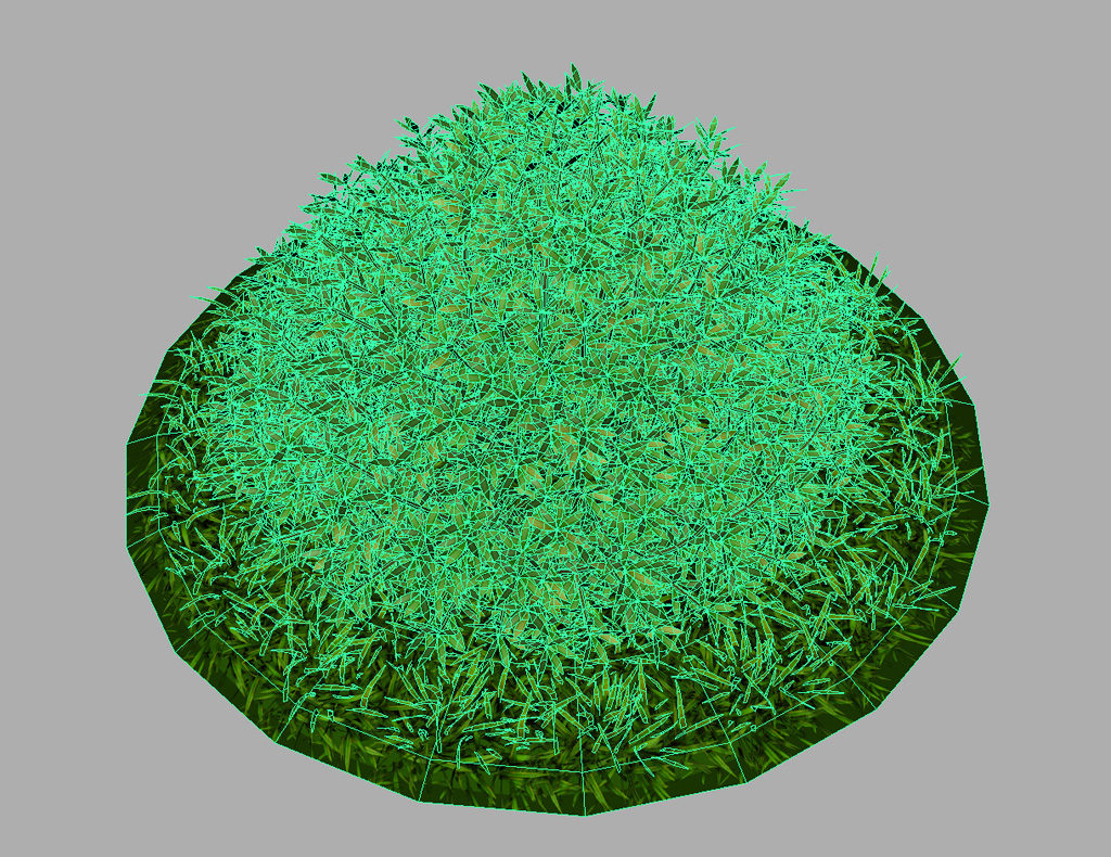 buxus-shrub-long-leaf-3d-model-9