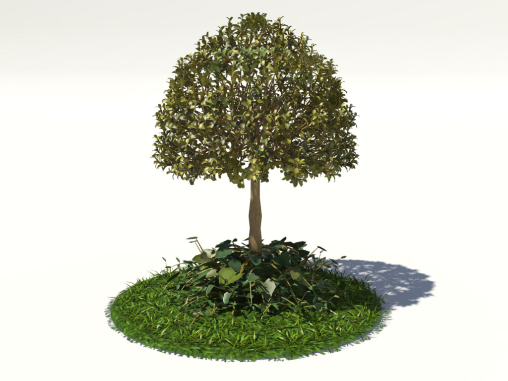 buxus-tree-with-ivy-grass-3d-model-1