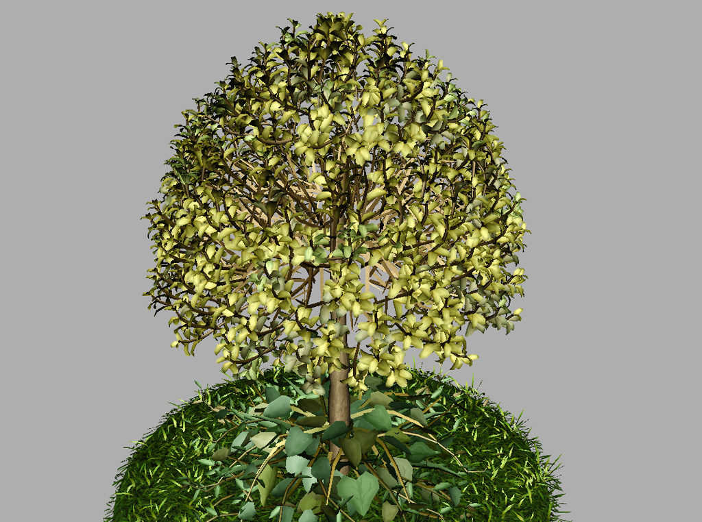 buxus-tree-with-ivy-grass-3d-model-10
