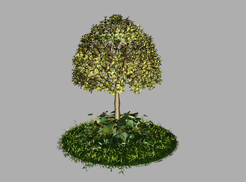 buxus-tree-with-ivy-grass-3d-model-11