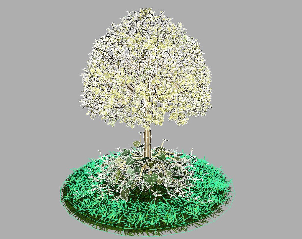 buxus-tree-with-ivy-grass-3d-model-13