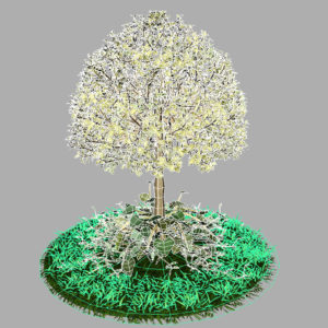 buxus-tree-with-ivy-grass-3d-model-13