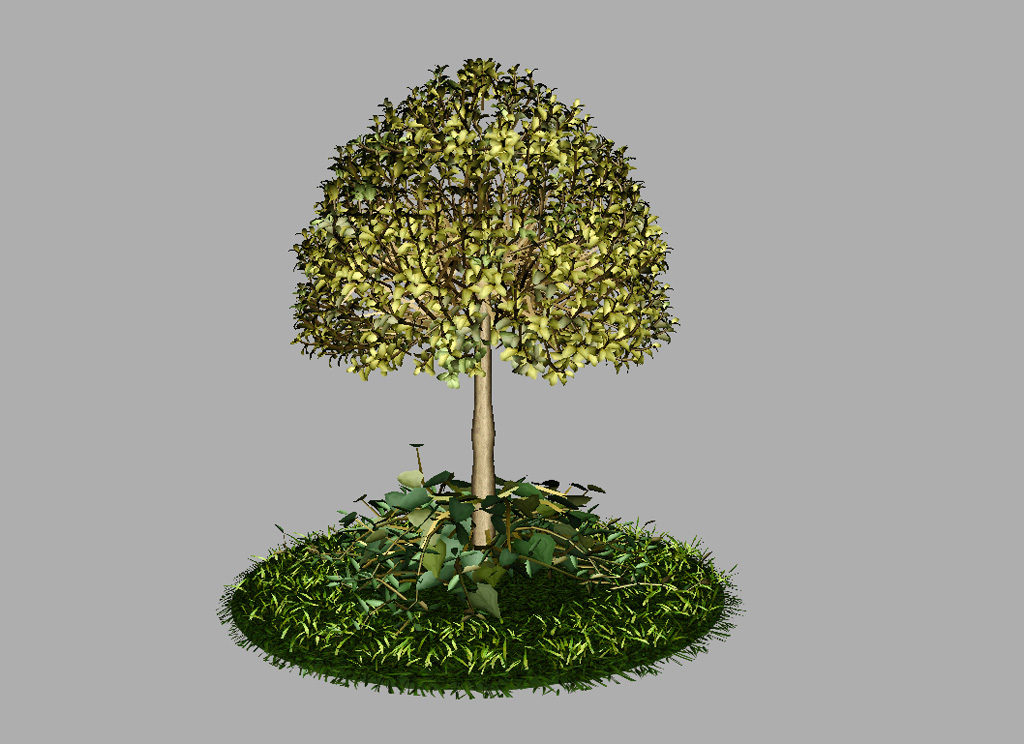 buxus-tree-with-ivy-grass-3d-model-7