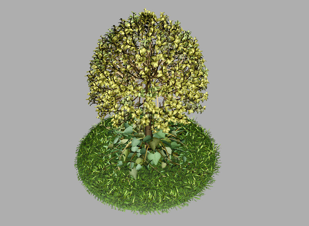 buxus-tree-with-ivy-grass-3d-model-8