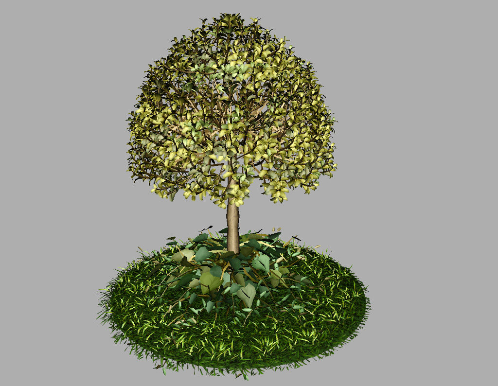 buxus-tree-with-ivy-grass-3d-model-9