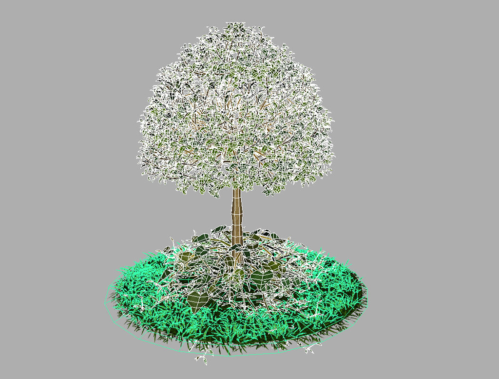 buxus-young-tree-on-grass-3d-model-circular-10