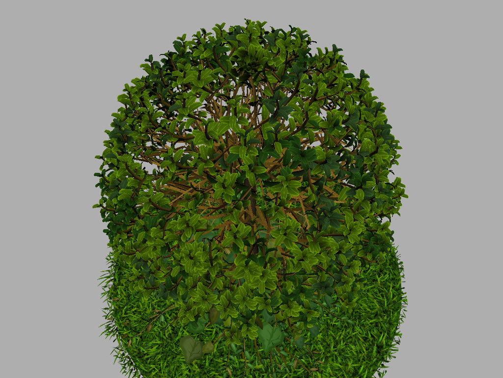 buxus-young-tree-on-grass-3d-model-circular-12