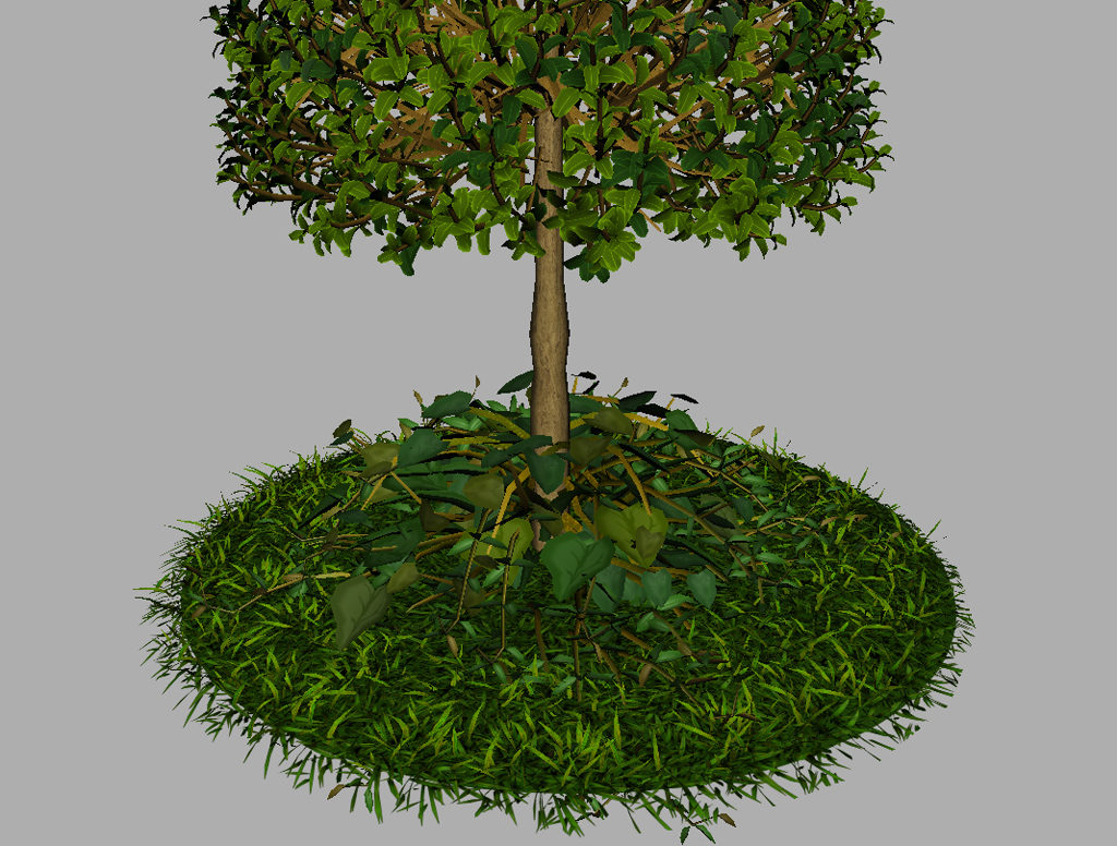 buxus-young-tree-on-grass-3d-model-circular-13