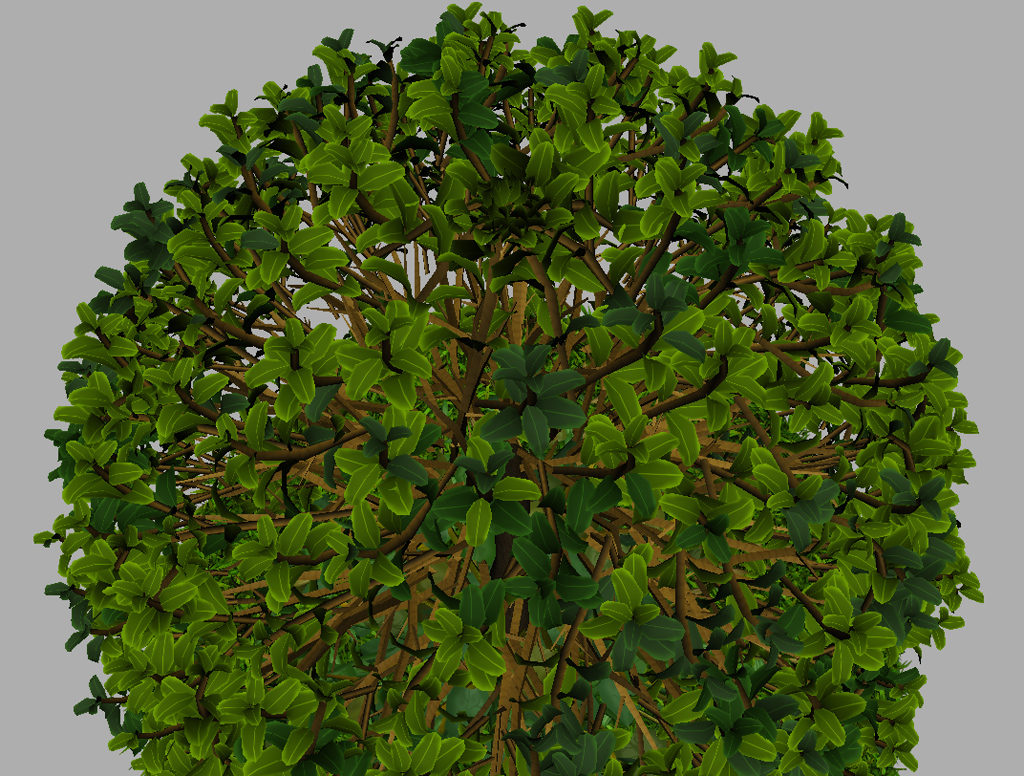 buxus-young-tree-on-grass-3d-model-circular-14