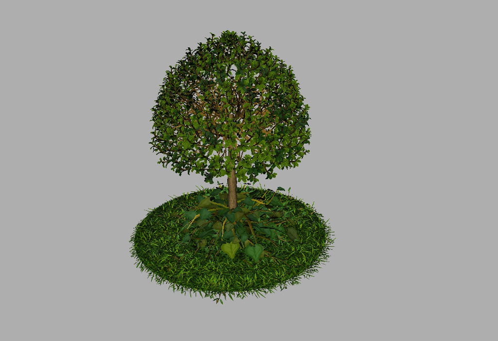 buxus-young-tree-on-grass-3d-model-circular-7