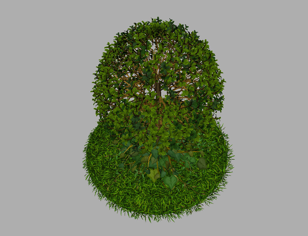 buxus-young-tree-on-grass-3d-model-circular-8