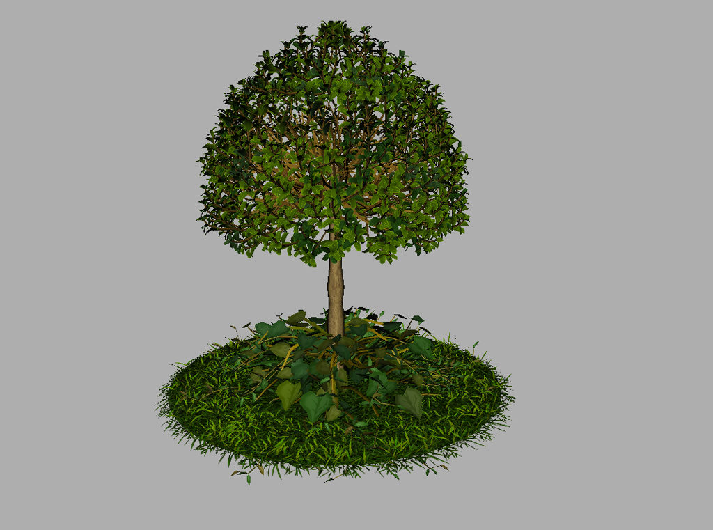 buxus-young-tree-on-grass-3d-model-circular-9