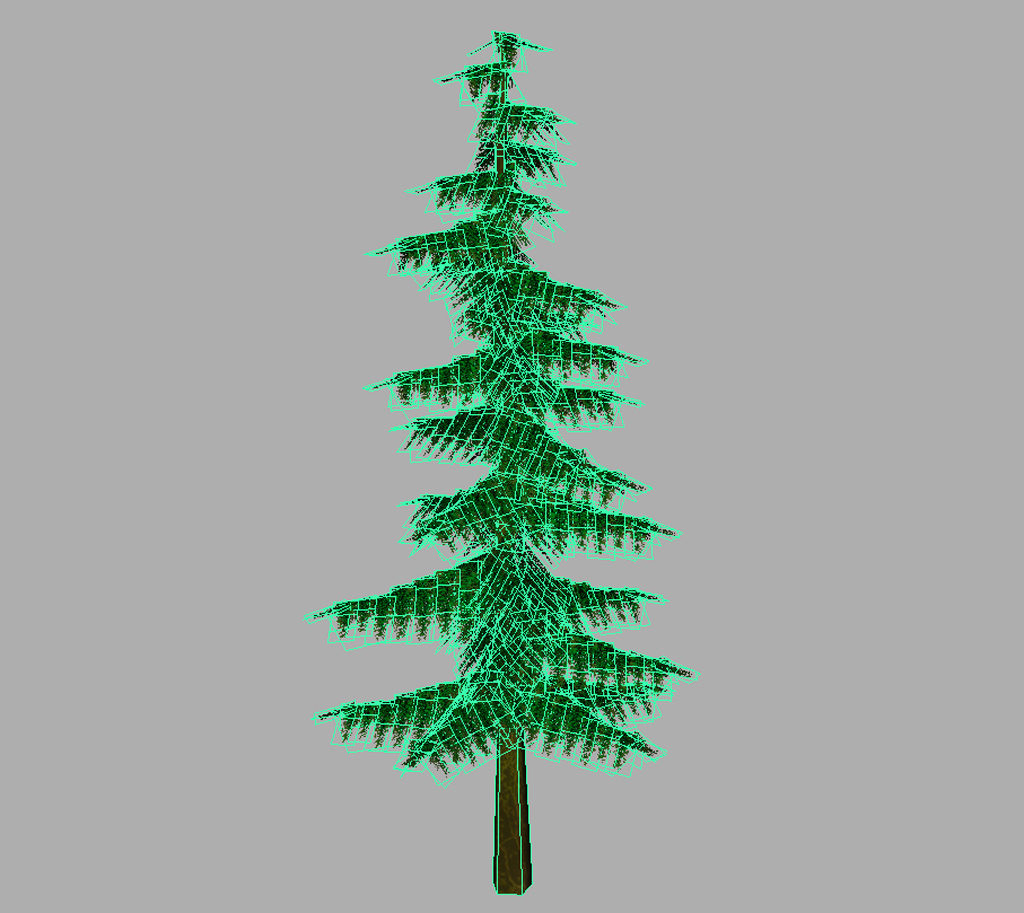 conifer-pine-tree-3d-model-15