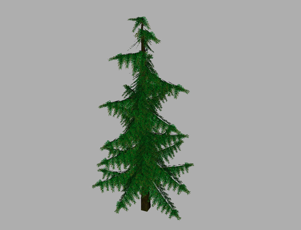 conifer-pine-tree-3d-model-9