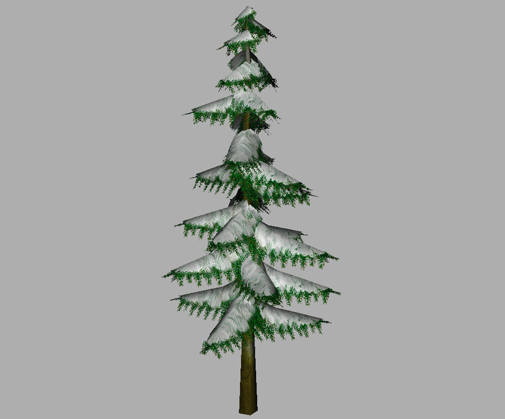 conifer-pine-tree-snow-3d-model-10