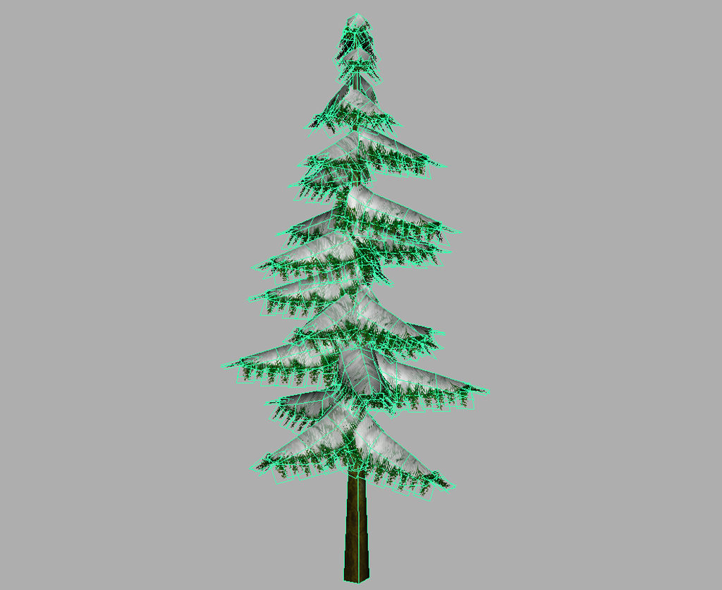 conifer-pine-tree-snow-3d-model-11
