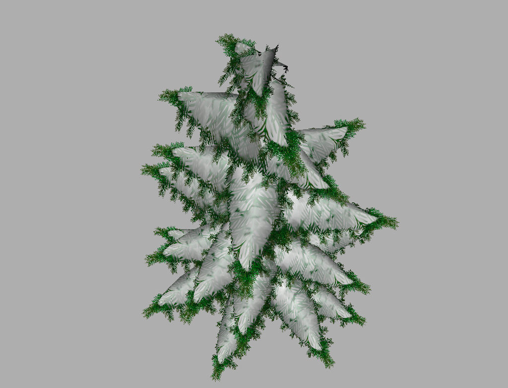 conifer-pine-tree-snow-3d-model-12