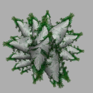 conifer-pine-tree-snow-3d-model-14
