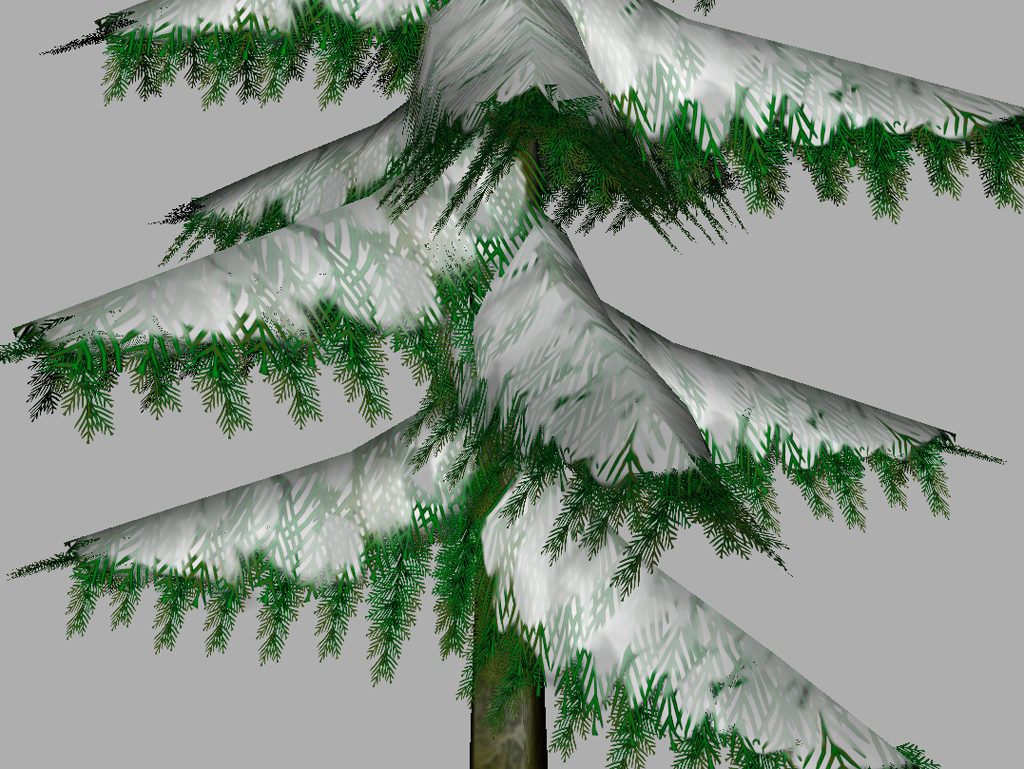 conifer-pine-tree-snow-3d-model-15