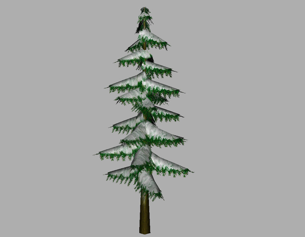 conifer-pine-tree-snow-3d-model-8