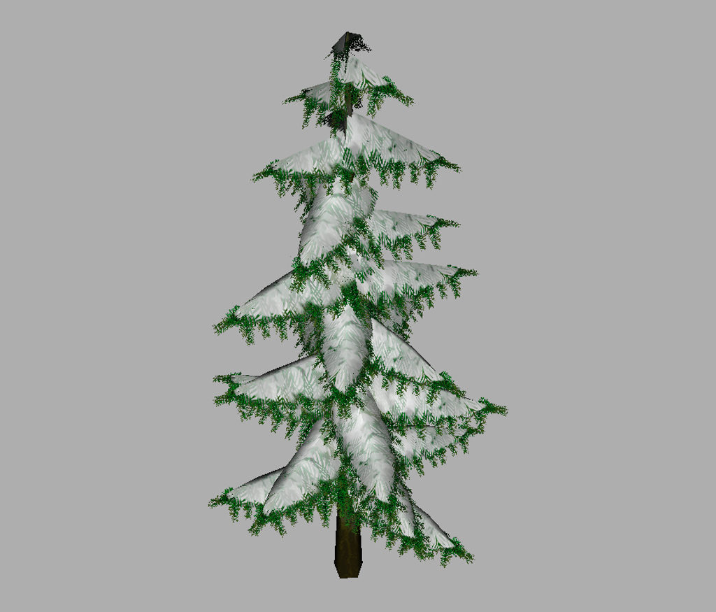 conifer-pine-tree-snow-3d-model-9