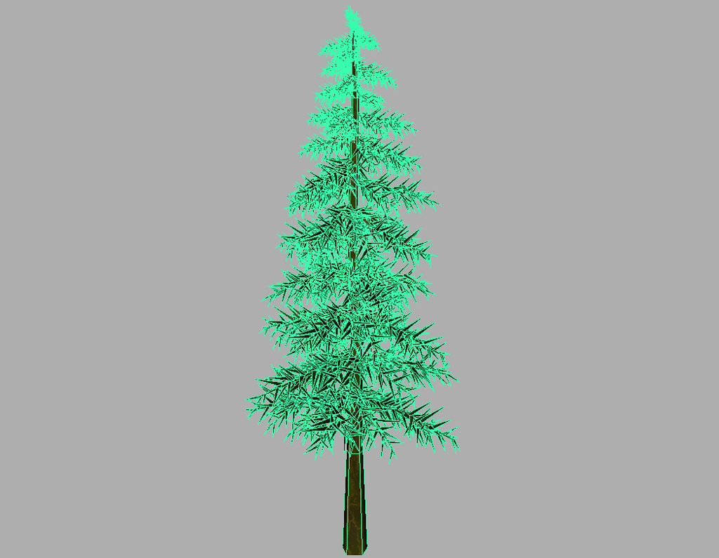 conifer-tree-3d-model-13