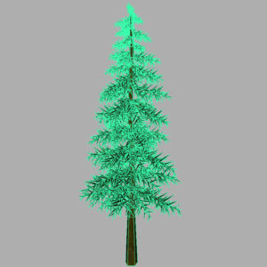 conifer-tree-3d-model-13