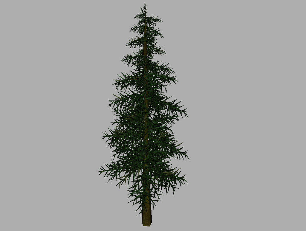 conifer-tree-3d-model-14