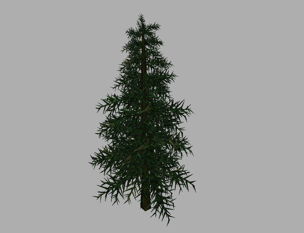 conifer-tree-3d-model-9