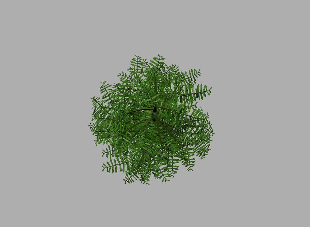 conifer-tree-green-3d-model-10