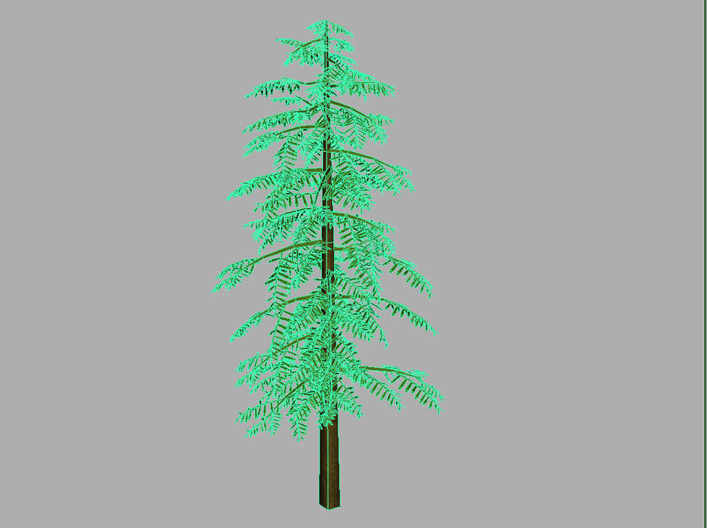 conifer-tree-green-3d-model-11