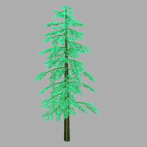 conifer-tree-green-3d-model-11