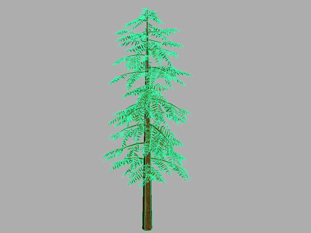 conifer-tree-green-3d-model-12