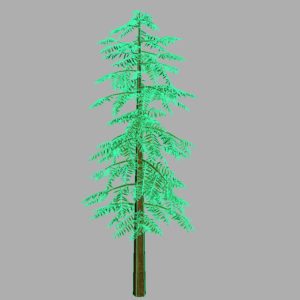 conifer-tree-green-3d-model-12