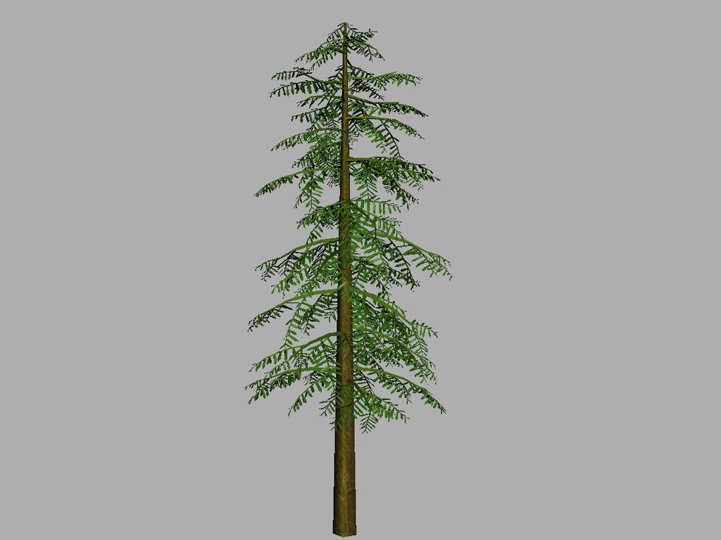 conifer-tree-green-3d-model-13