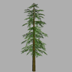 conifer-tree-green-3d-model-13