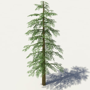 conifer-tree-green-3d-model-2