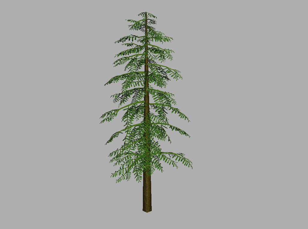 conifer-tree-green-3d-model-7