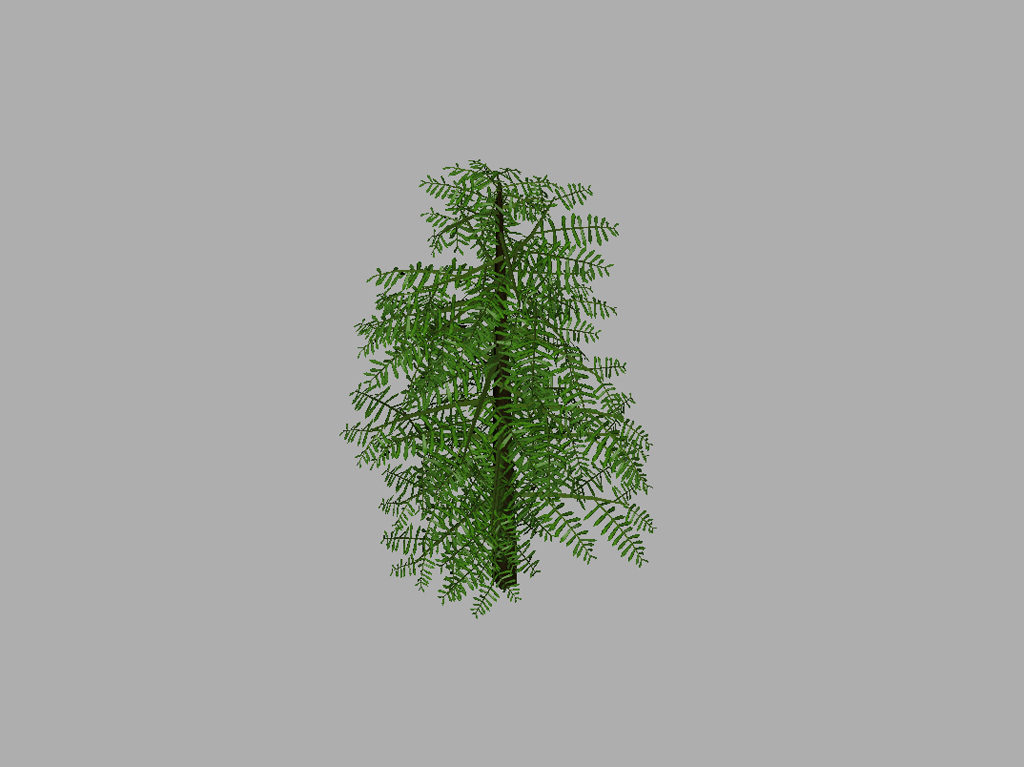 conifer-tree-green-3d-model-8